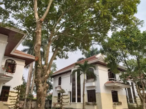 Van Xuan Royal Hotel