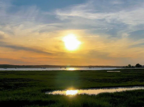 Cozy Hampton Cottage - Walk to Beaches & Marina!