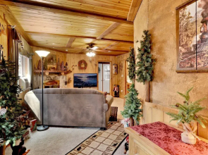 Cozy Bear Pines #2465