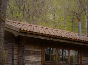 Bokebacken Forest Hotel