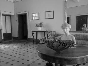 Royal Victoria Hotel