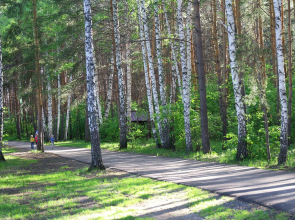 Karagajskij bor
