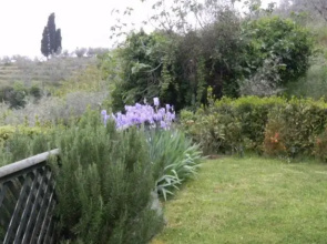 Casale il Giuncheto