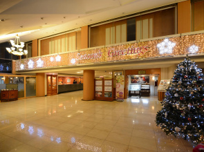 Onyang Hot Spring Hotel