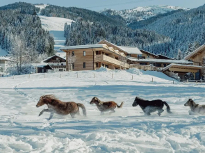 Mariengut - Aparthotel Kramer