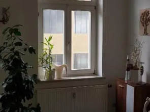 FeWo im Herzen Reichenbachs