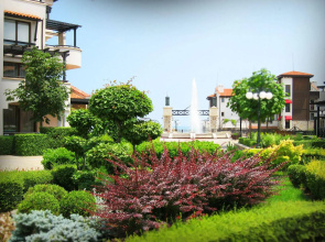 Oasis Resort & SPA