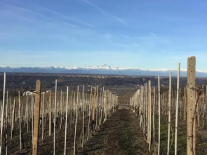 Appartamento nelle Langhe