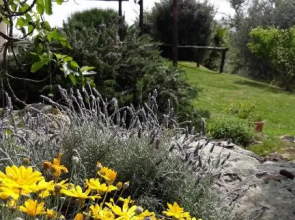Agriturismo Colleverde Capalbio