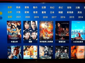 Taoyuan Airport Rory Harbor Hostel