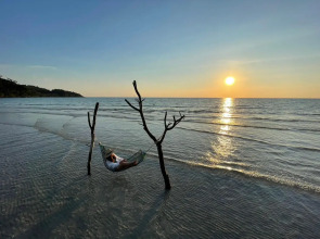 Sunshine on the rock