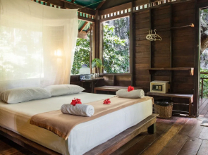 Our Jungle House