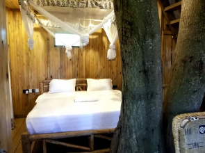 Tree House with a Pool
