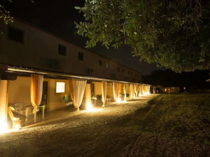 Il giardino degli ulivi