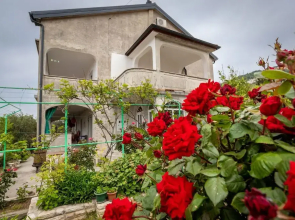 Nada- sea View - A1 - Ljubičasti