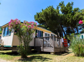 Arena Stupice Camping Homes