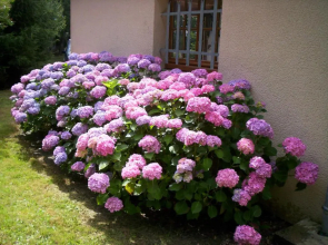 Maison de Vacances MACOU 2