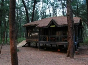Devbagh Beach Resort