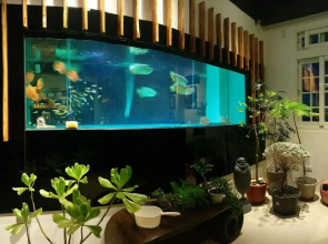 After the Court Chiaohsi