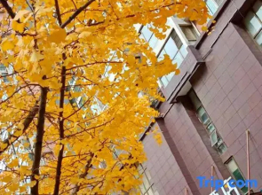 Xi'erman Hotel