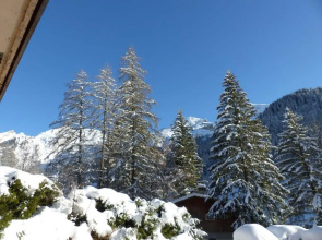 Appartement La Clusaz, 2 pièces, 4 personnes - FR-1-437-68