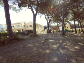 Il giaguaro