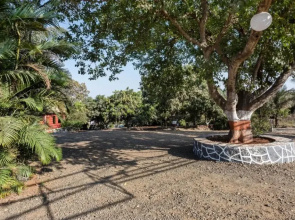 Seema's Resort By OYO Rooms