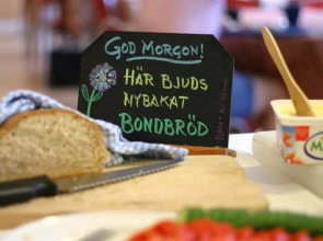 Slottsskogens Hostel