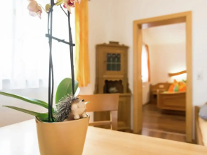 Sunny Alpine Apartment by the Slopes