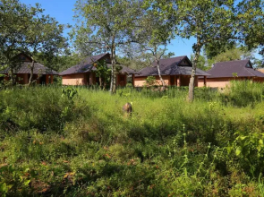 Forest Call Lodge