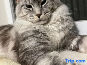 Beijing Yashan Xiaozhu (Badaling Branch)