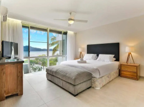 Frangipani 104