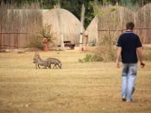 Mlilwane Rest Camp