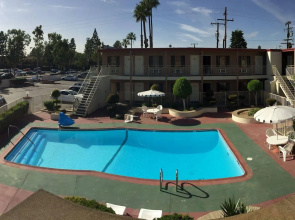 Willow Tree Lodge