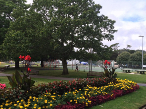 The Apartment Boscawen Woods