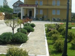 Pensiunea Selina