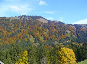 Ferienhaus Kälberweide