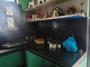 Startup House