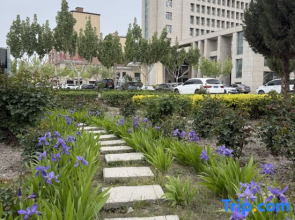 Shaya Yinqiao Kaiyue hotel