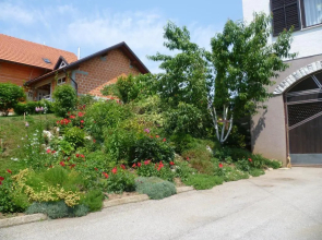 Apartments Tratinčica