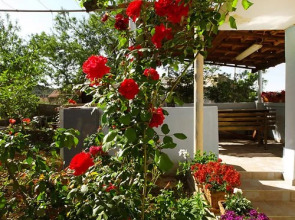 House Antonela Pa Man/Dobropoljana