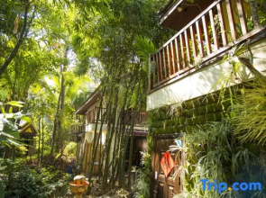 Xishuangbanna Elephant Home Guesthouse