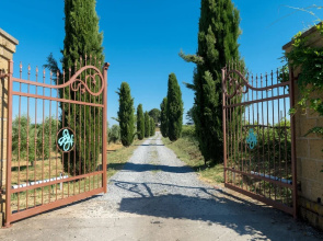 Il Raggio Di Sole