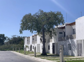 La Casa del Arbol -4bed 3 bath