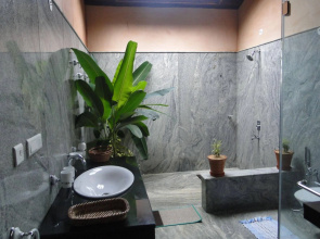 Wild Woods Spa & Resort