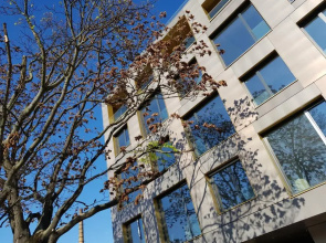 Msapartamenty Centrum 3