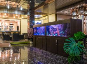 Нева Интернейшнл