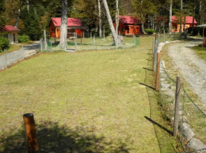 Sugenuma Camp Mura