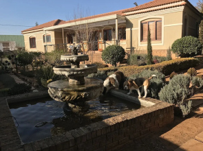 Clarens Butterfly Villa