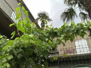 Maison Jaffran, Suite en Ville